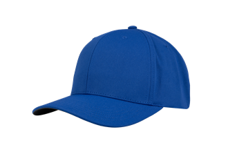 38 South Cap - Platinum Structure X